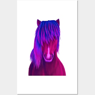 Icelandic Pony Posters and Art